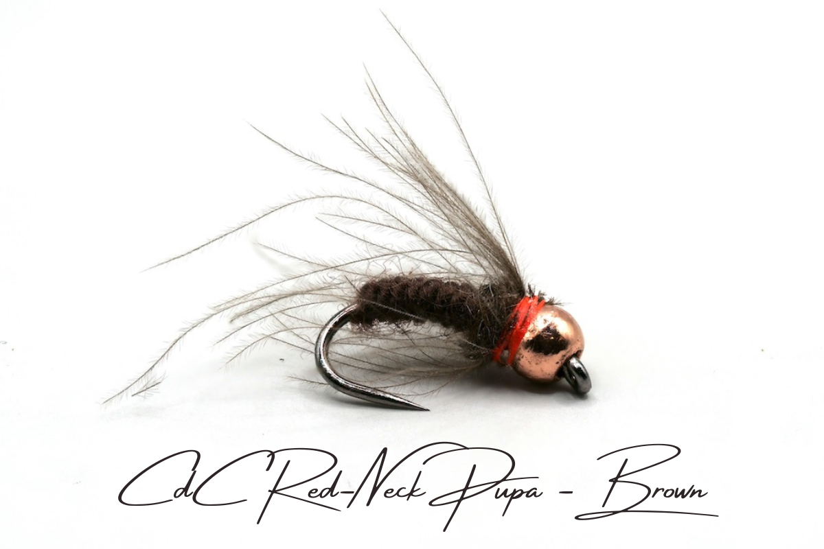 CdC Red-Neck Tungsten Pupa