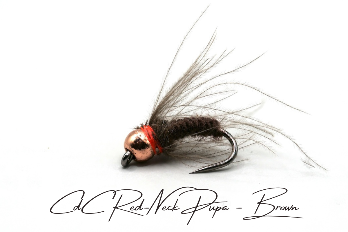 CdC Red-Neck Tungsten Pupa Selection