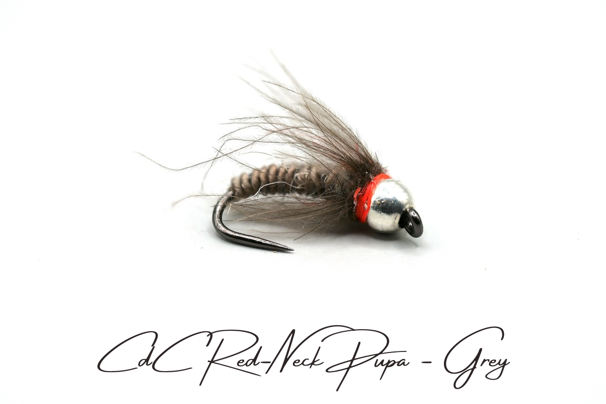 CdC Red-Neck Tungsten Pupa