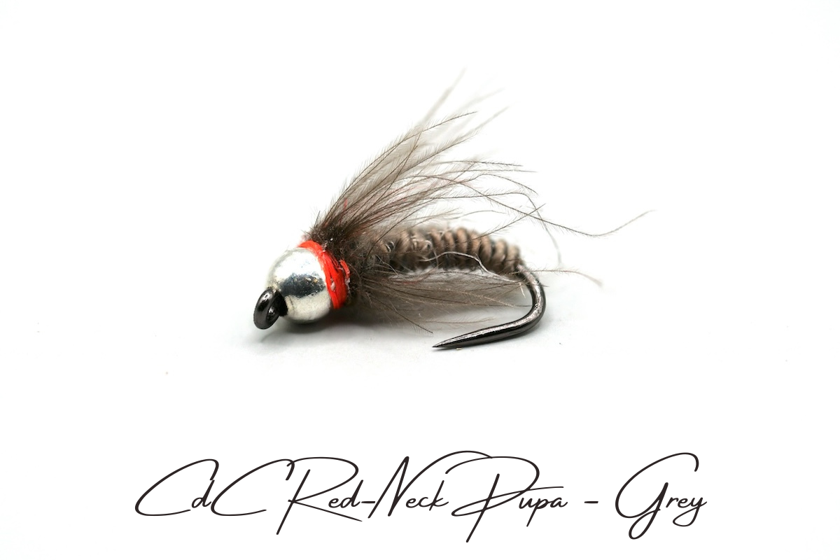CdC Red-Neck Tungsten Pupa Selection