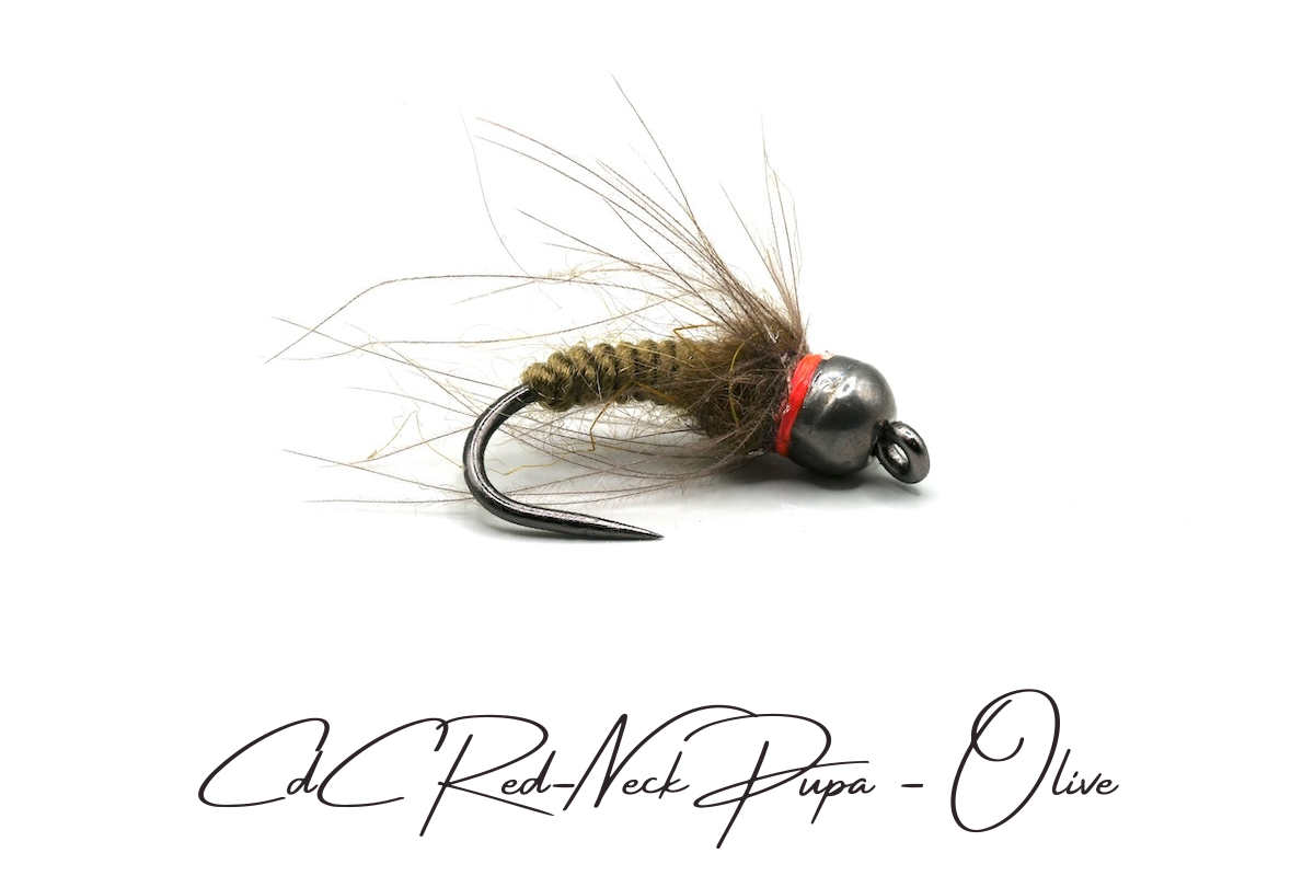 CdC Red-Neck Tungsten Pupa