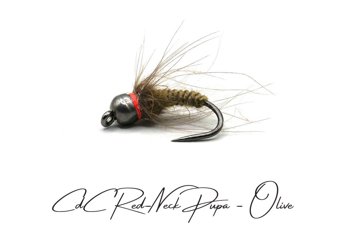 CdC Red-Neck Tungsten Pupa