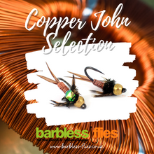 Load image into Gallery viewer, Copper John Selection
