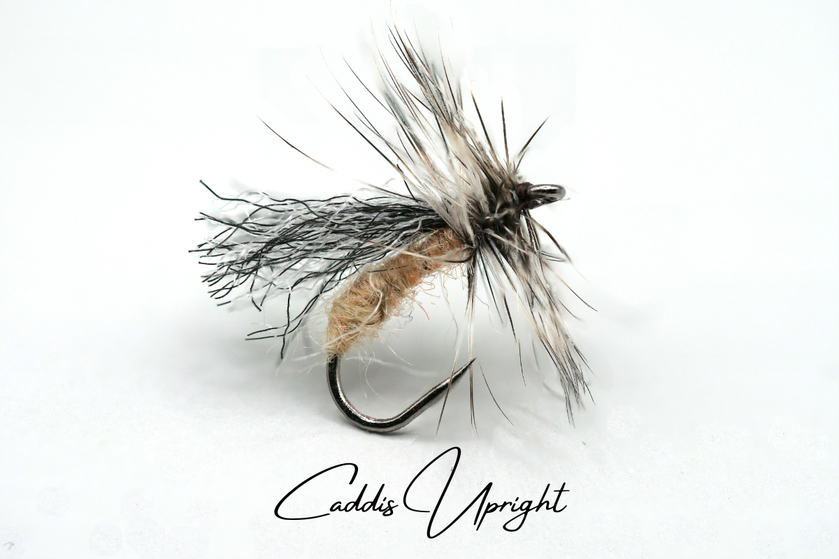 Caddis Upright