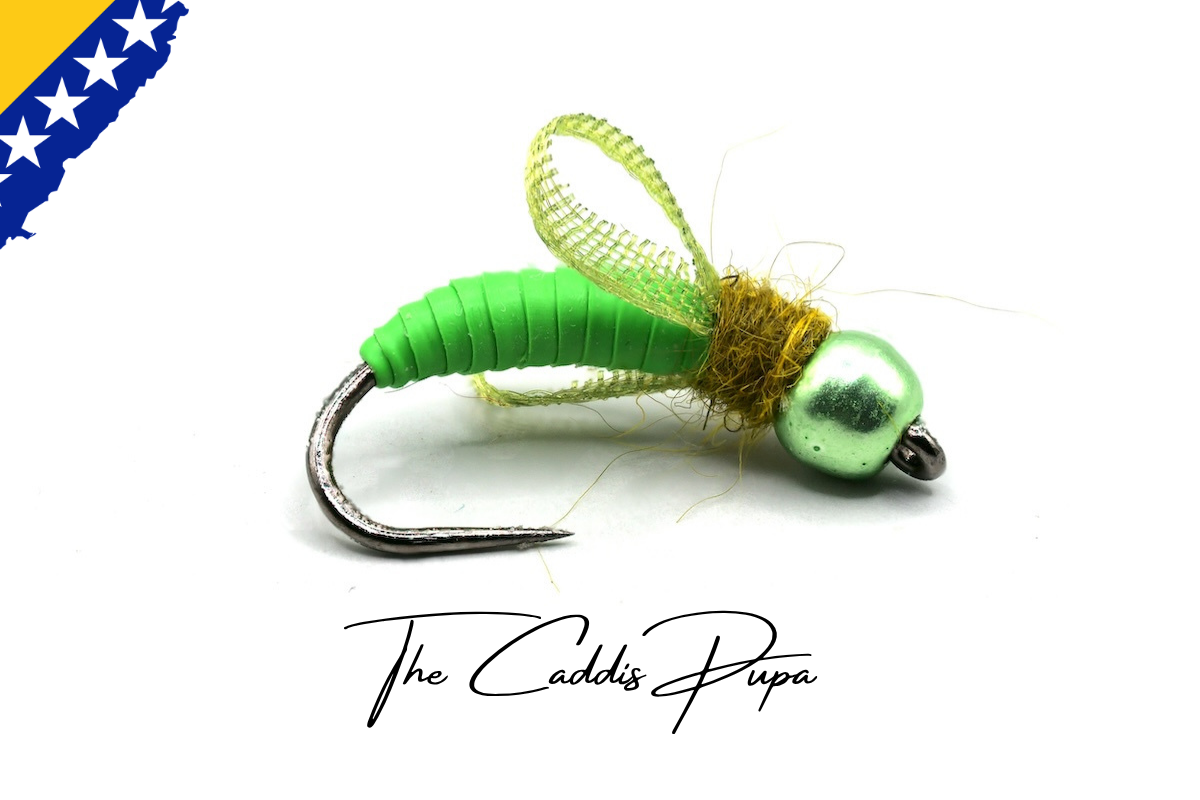 Bosnian Caddis Pupa Selection