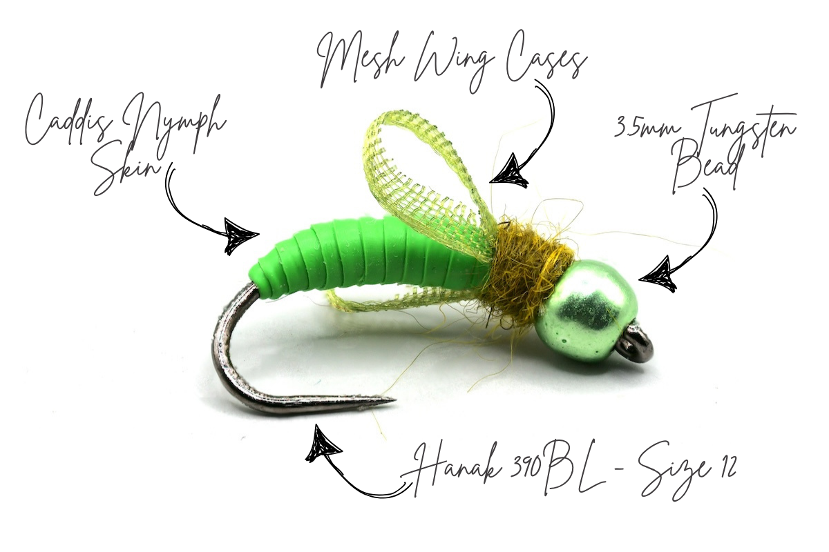 Bosnian Caddis Pupa Selection