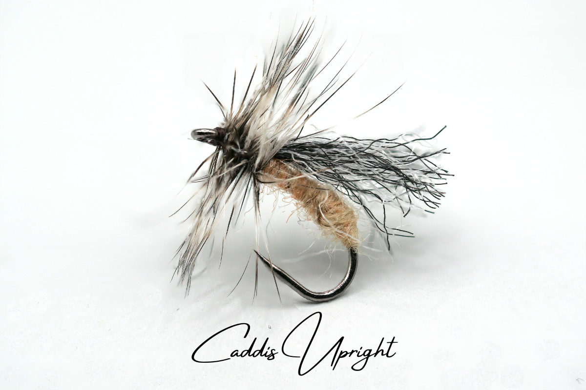 Caddis Upright