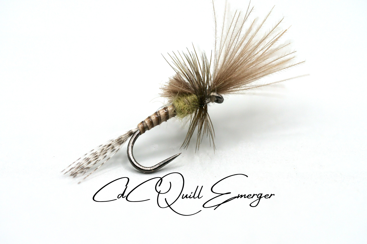 Cdc Emerger Patterns CdC Quill Emerger - from Barbless Flies