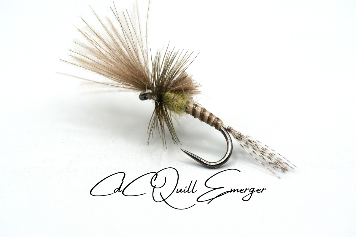 CdC Quill Emerger