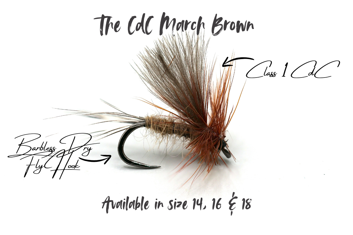 March Brown CdC