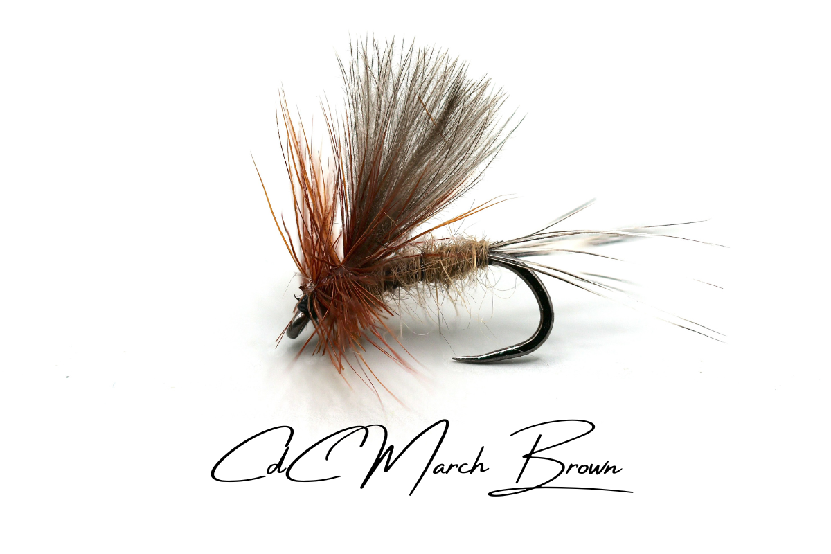 March Brown CdC