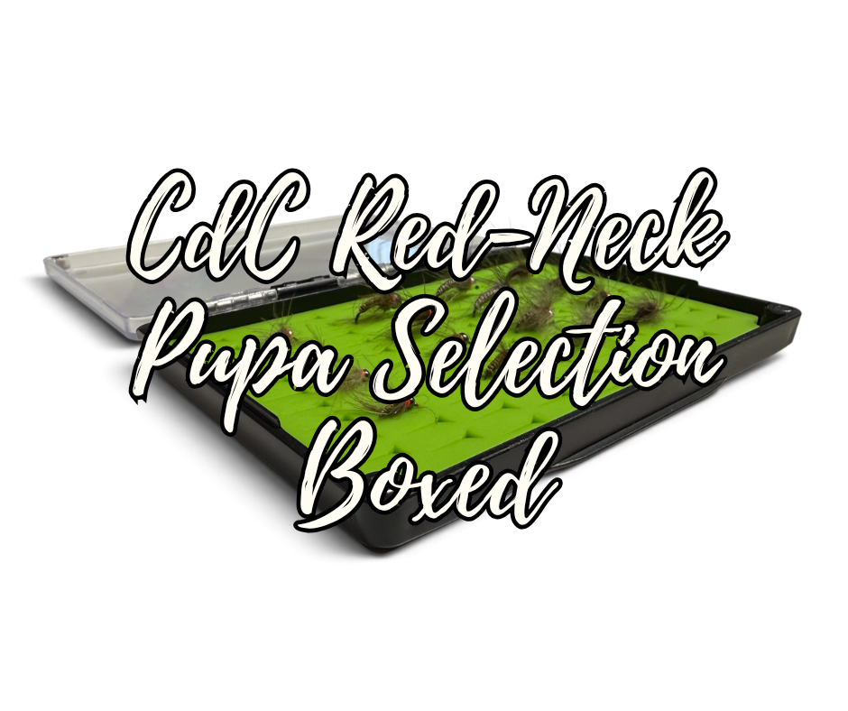 CdC Red-Neck Tungsten Pupa Selection