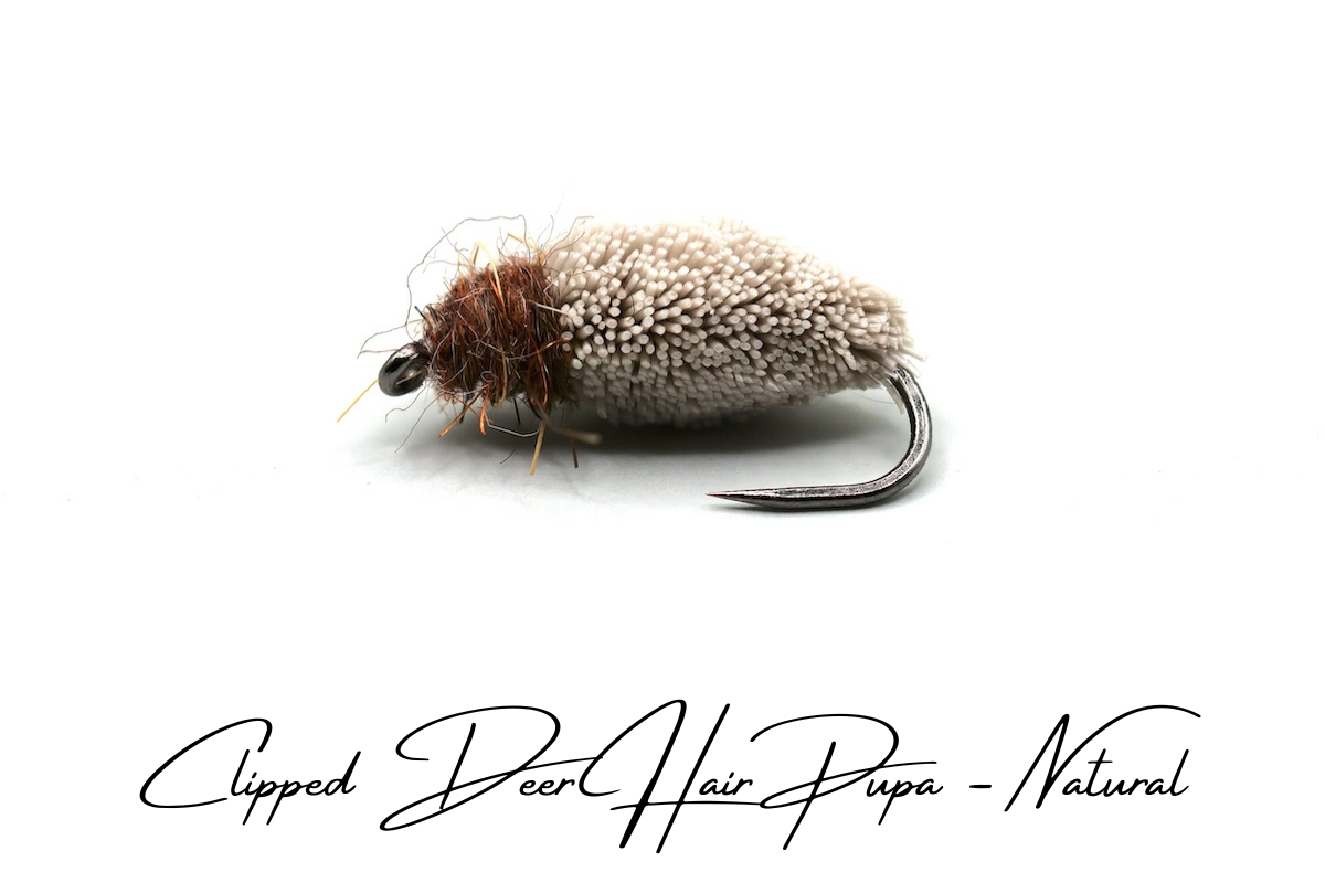 Emerging Caddis Pupa - Natural