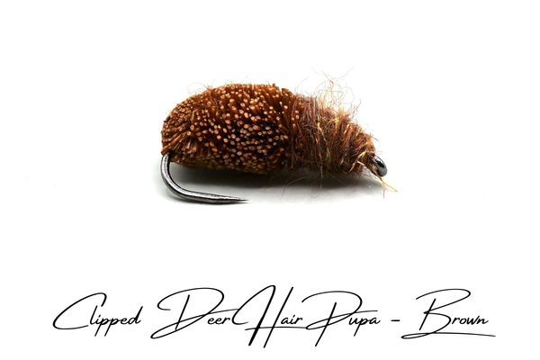 Emerging Caddis Pupa - Brown