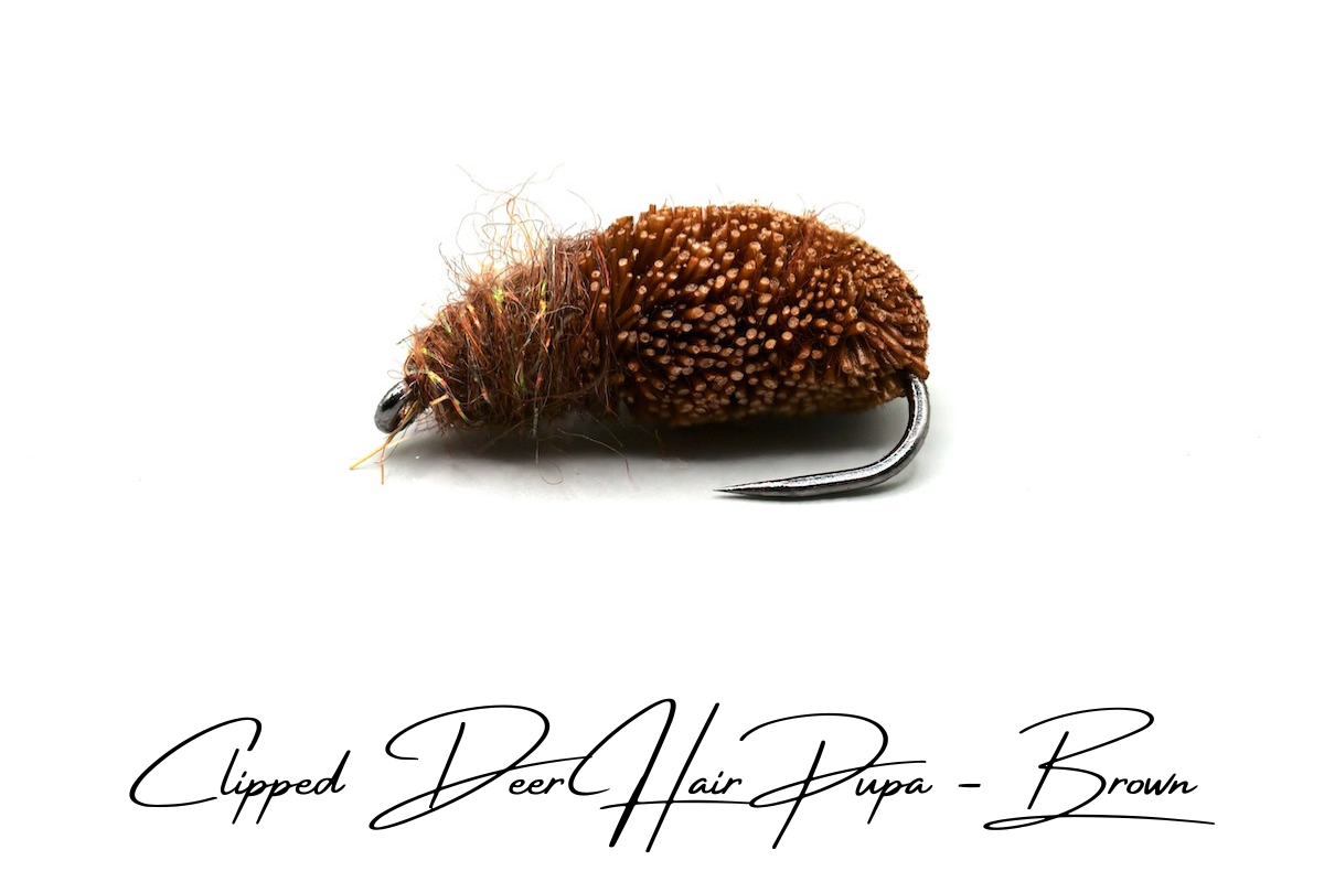 Emerging Caddis Pupa - Brown