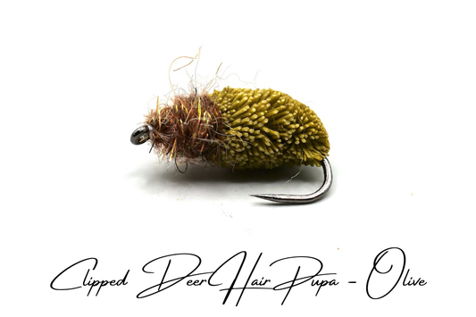 Emerging Caddis Pupa - Olive