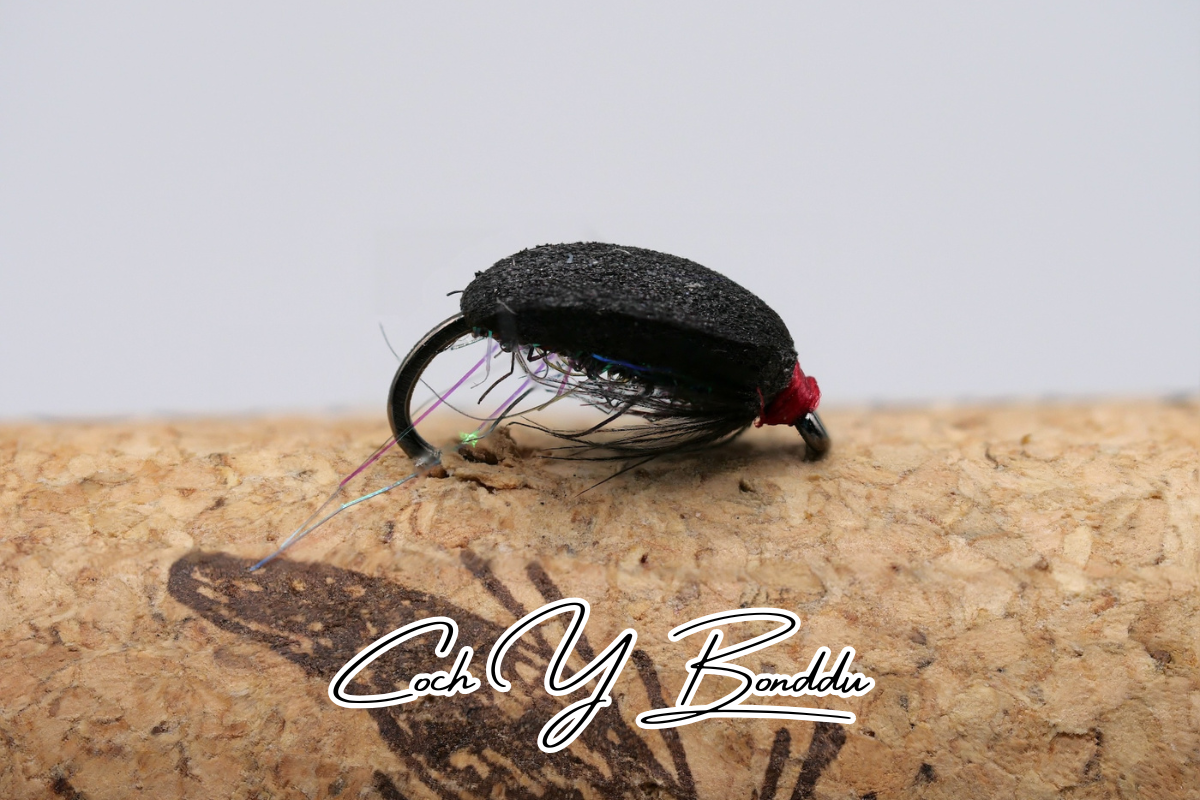 Coch Y Bonddu Beetle
