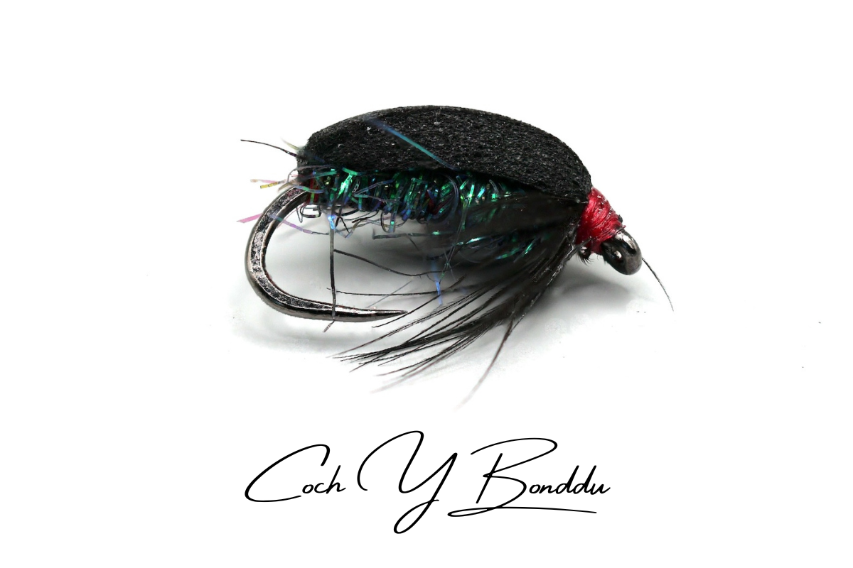 Coch Y Bonddu Beetle