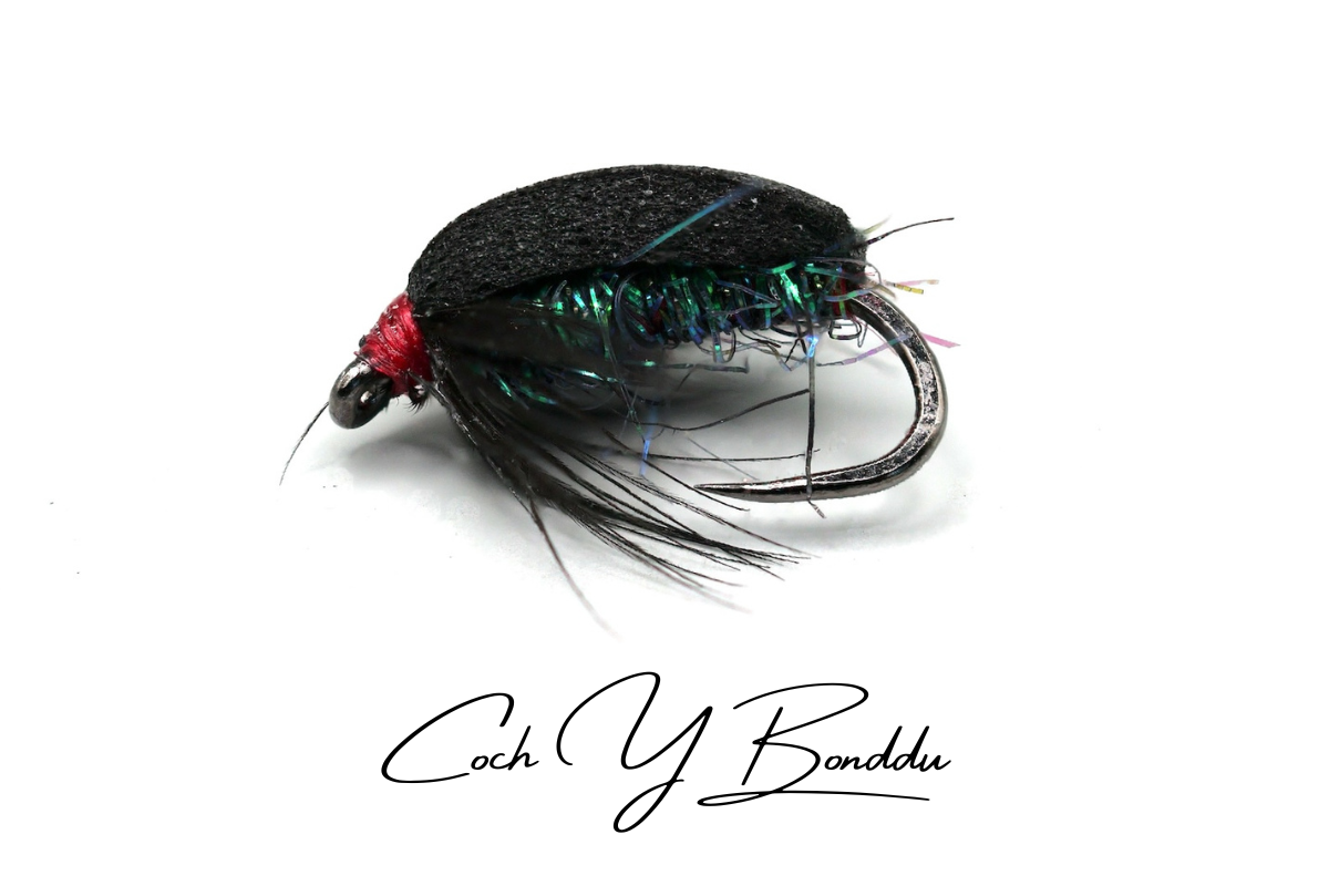 Coch Y Bonddu Beetle
