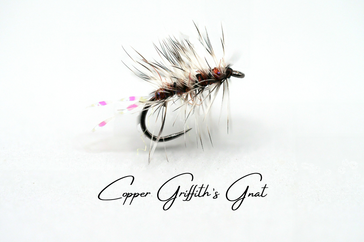 The Copper Griffith's Gnat