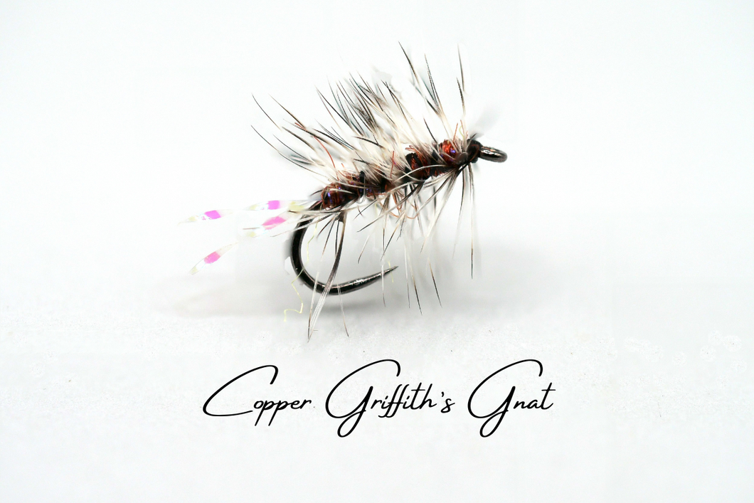 Copper Griffith's Gnat