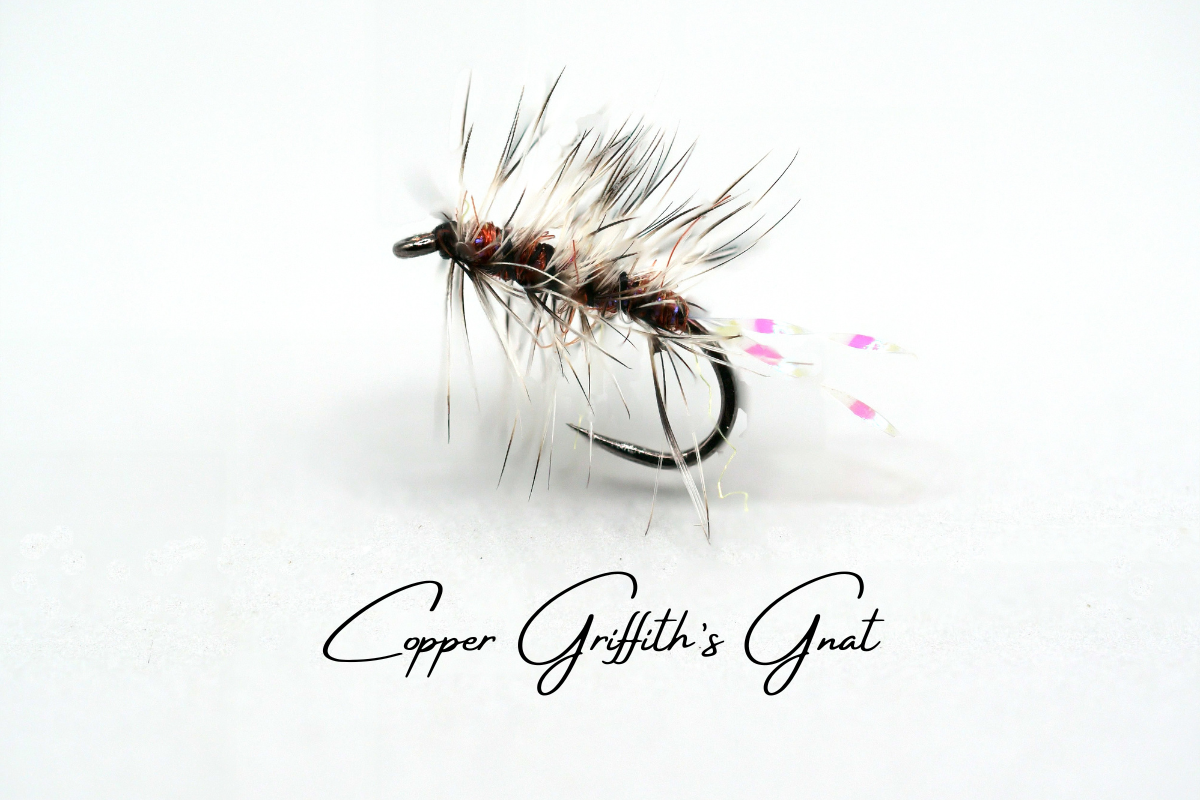 The Copper Griffith's Gnat
