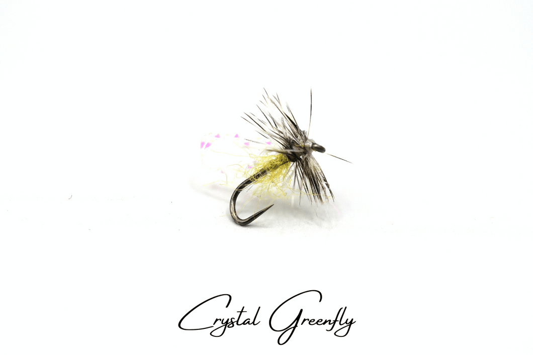 Crystal Greenfly