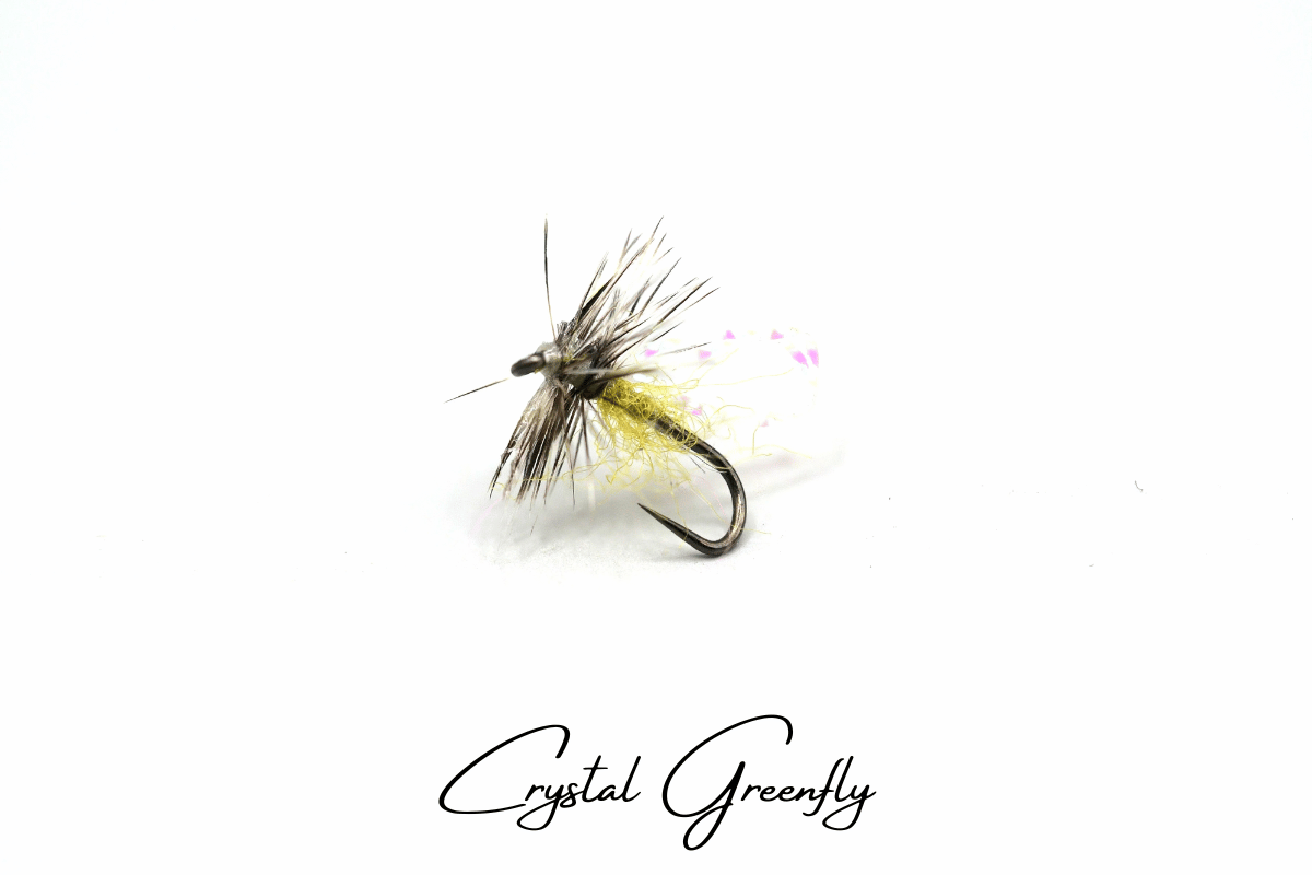The River Whisperer Selection