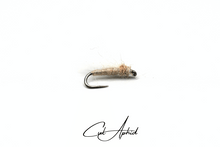 Load image into Gallery viewer, Cul Aphid
