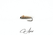 Load image into Gallery viewer, Cul Aphid
