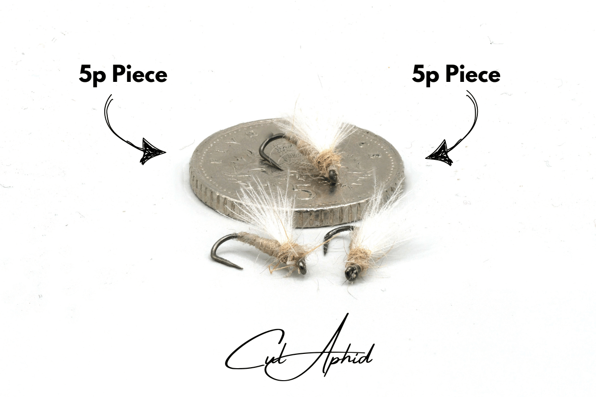 The River Whisperer Selection