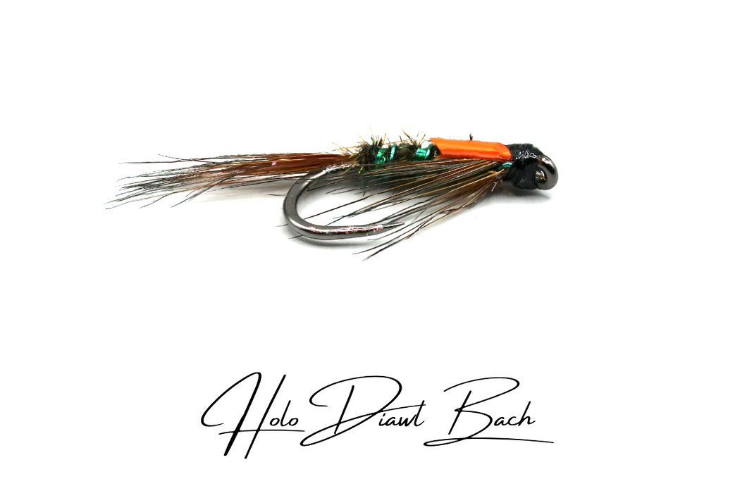 Holo Diawl Bach