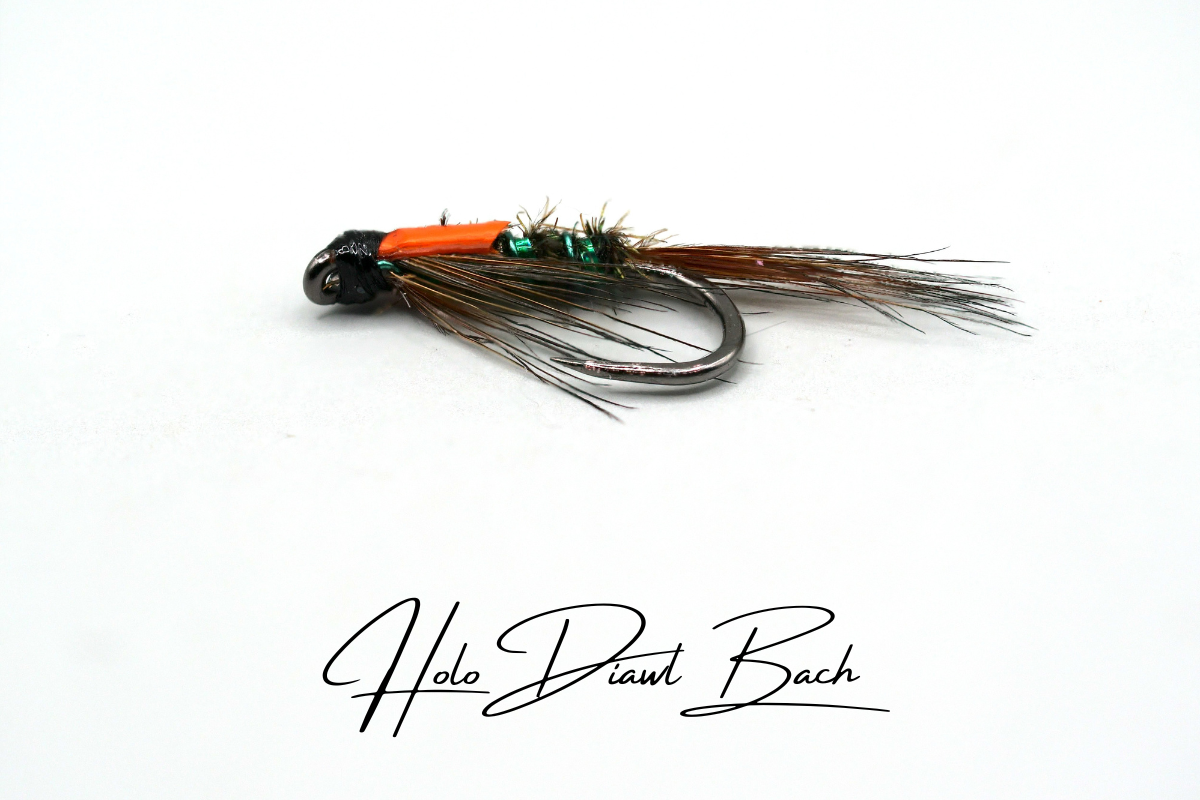 Holo Diawl Bach