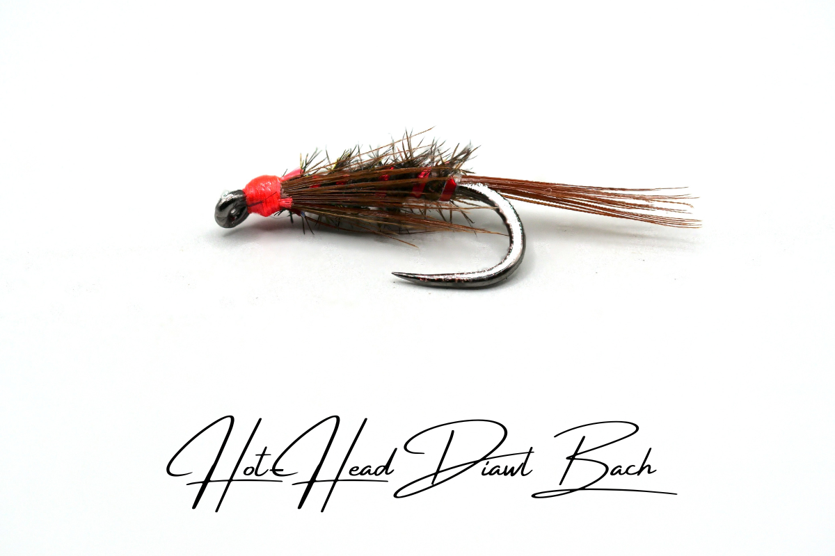 Hot-Head Diawl Bach
