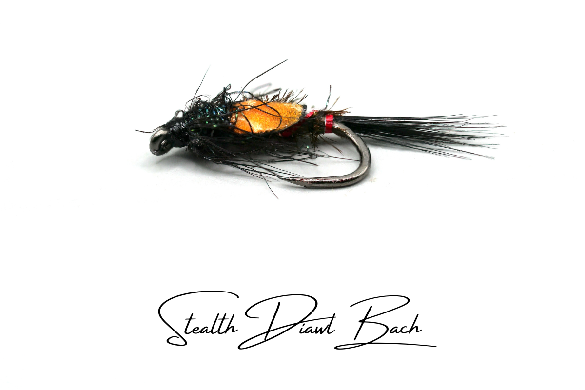 Stealth Diawl Bach
