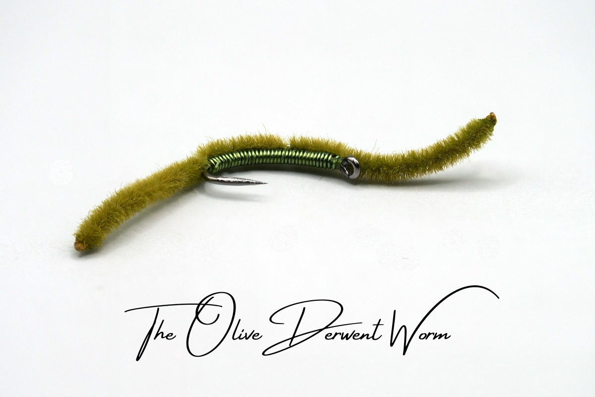 The Derwent Worm
