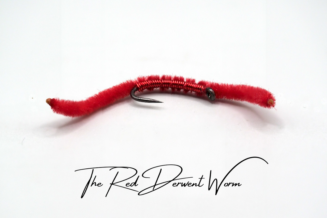 The Derwent Worm
