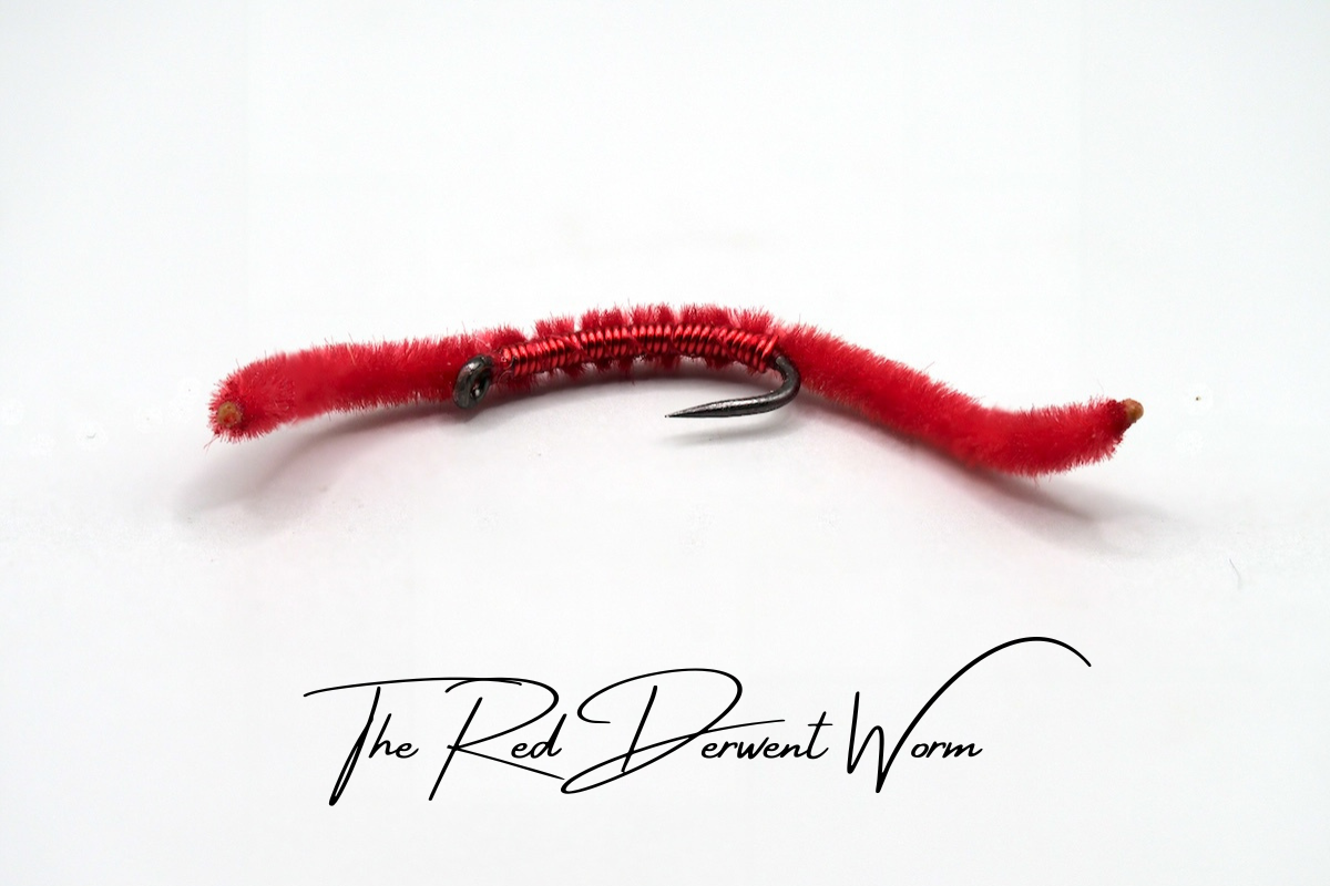 The Derwent Worm