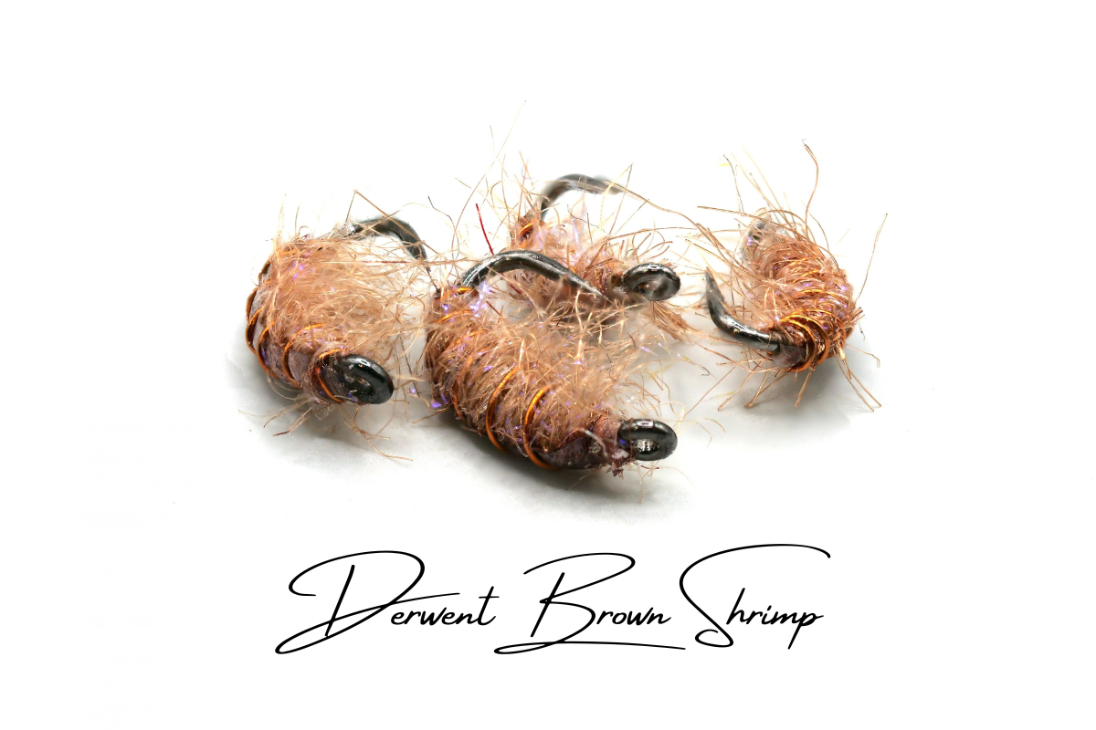 The Derwent Shrimp Selection