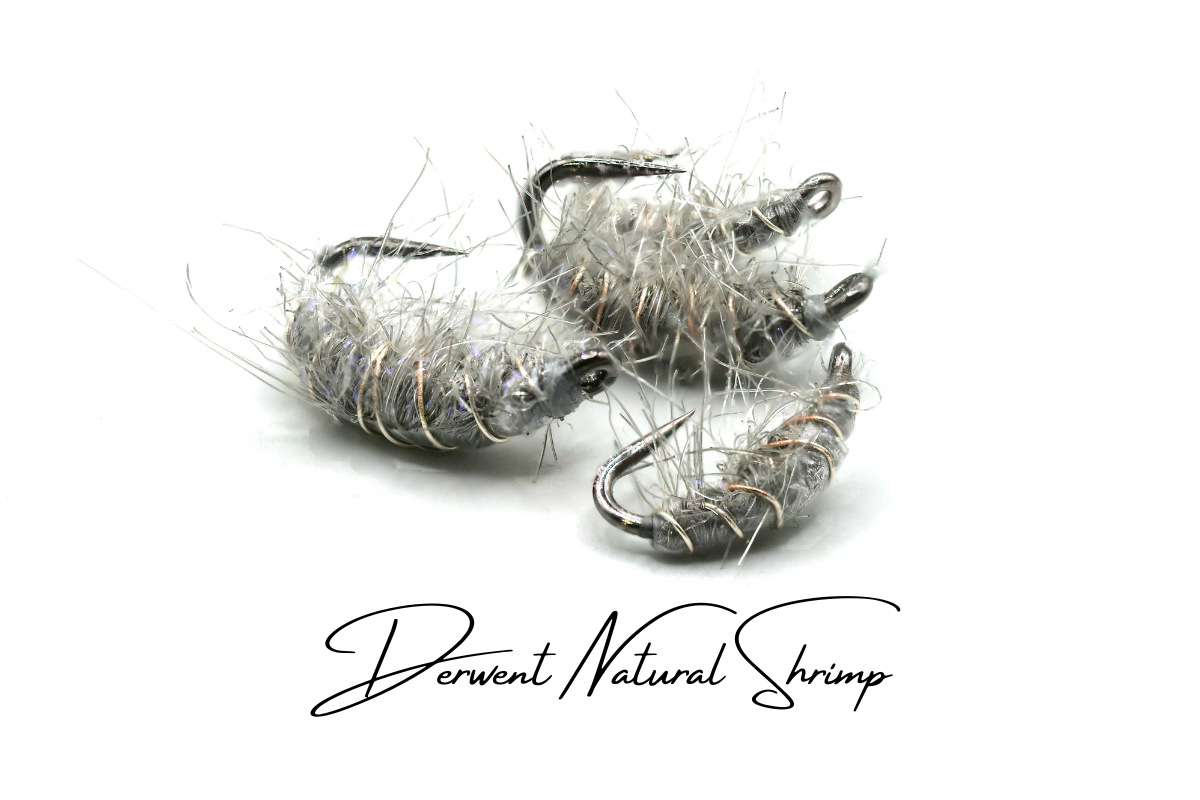 The Derwent Shrimp