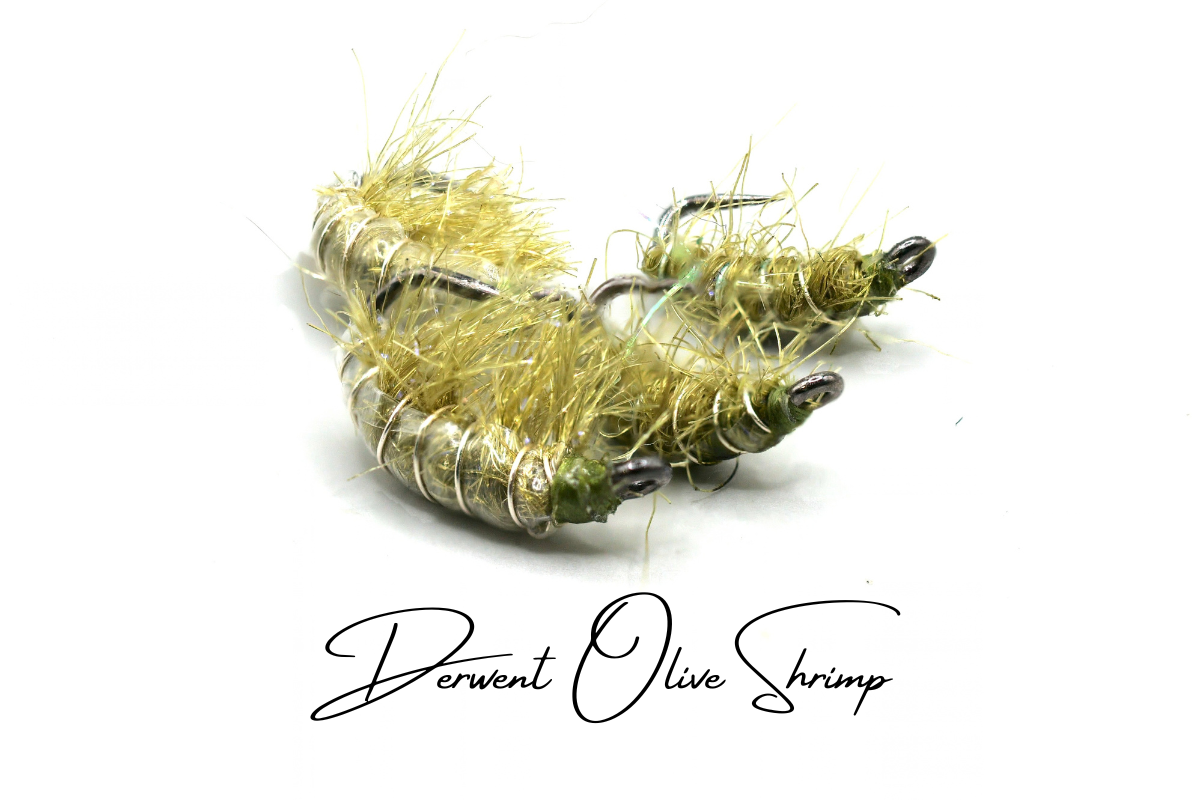 The Derwent Shrimp Selection