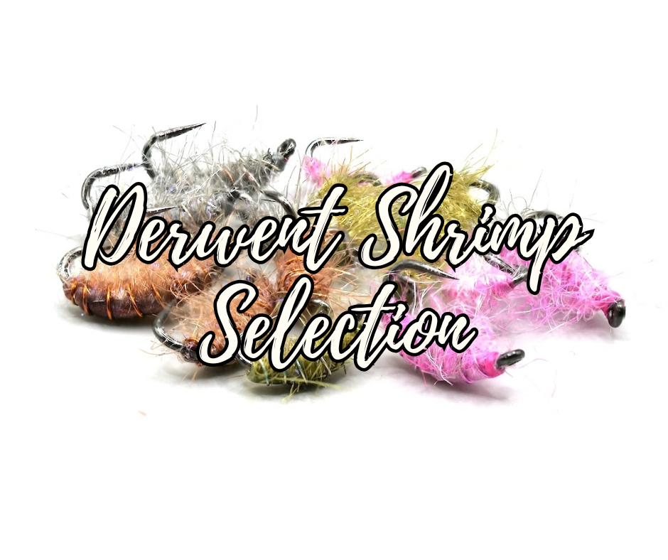 The Derwent Shrimp Selection