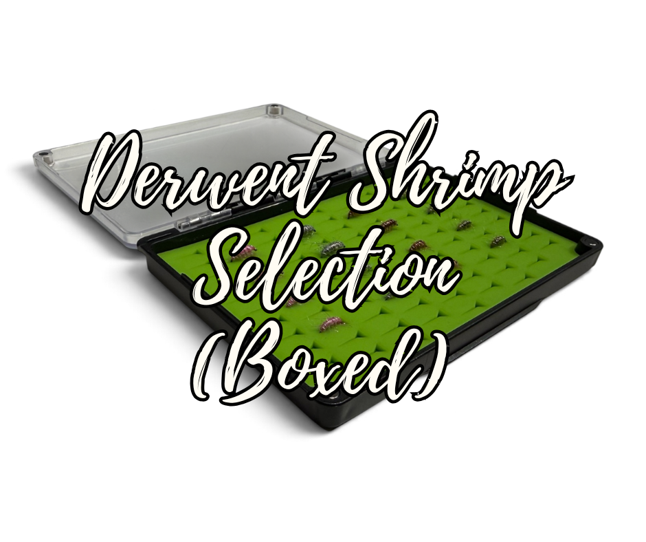The Derwent Shrimp Selection
