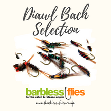 Load image into Gallery viewer, Diawl Bach Selection
