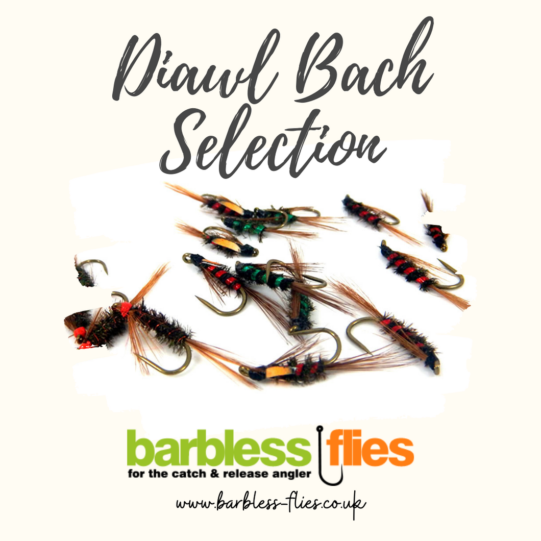 Diawl Bach Selection