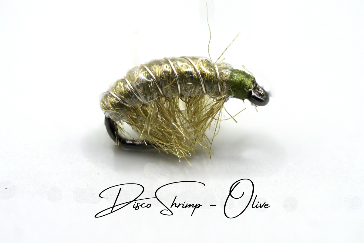 The Lightweight Disco Shrimp Selection