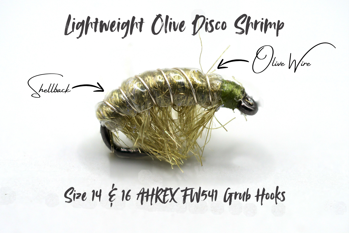 The Olive Disco Shrimp