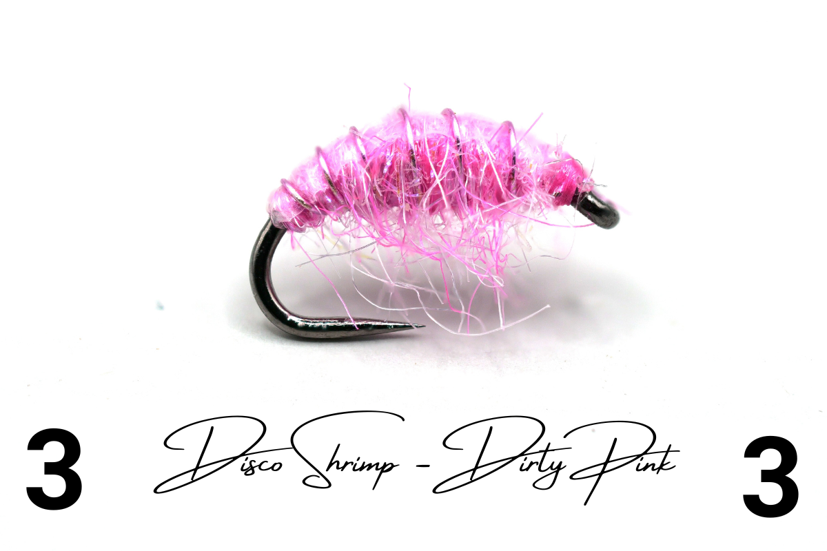 The Dirty Pink Disco Shrimp