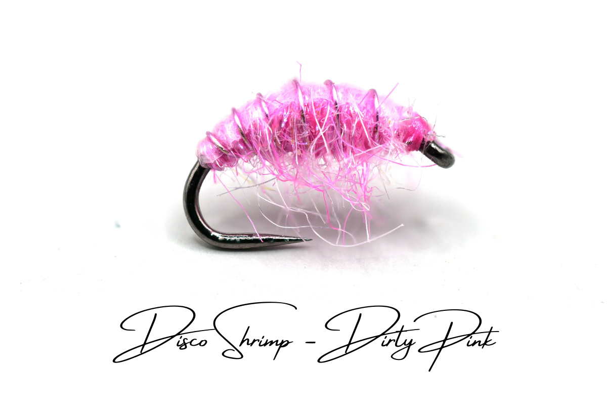 The Dirty Pink Disco Shrimp