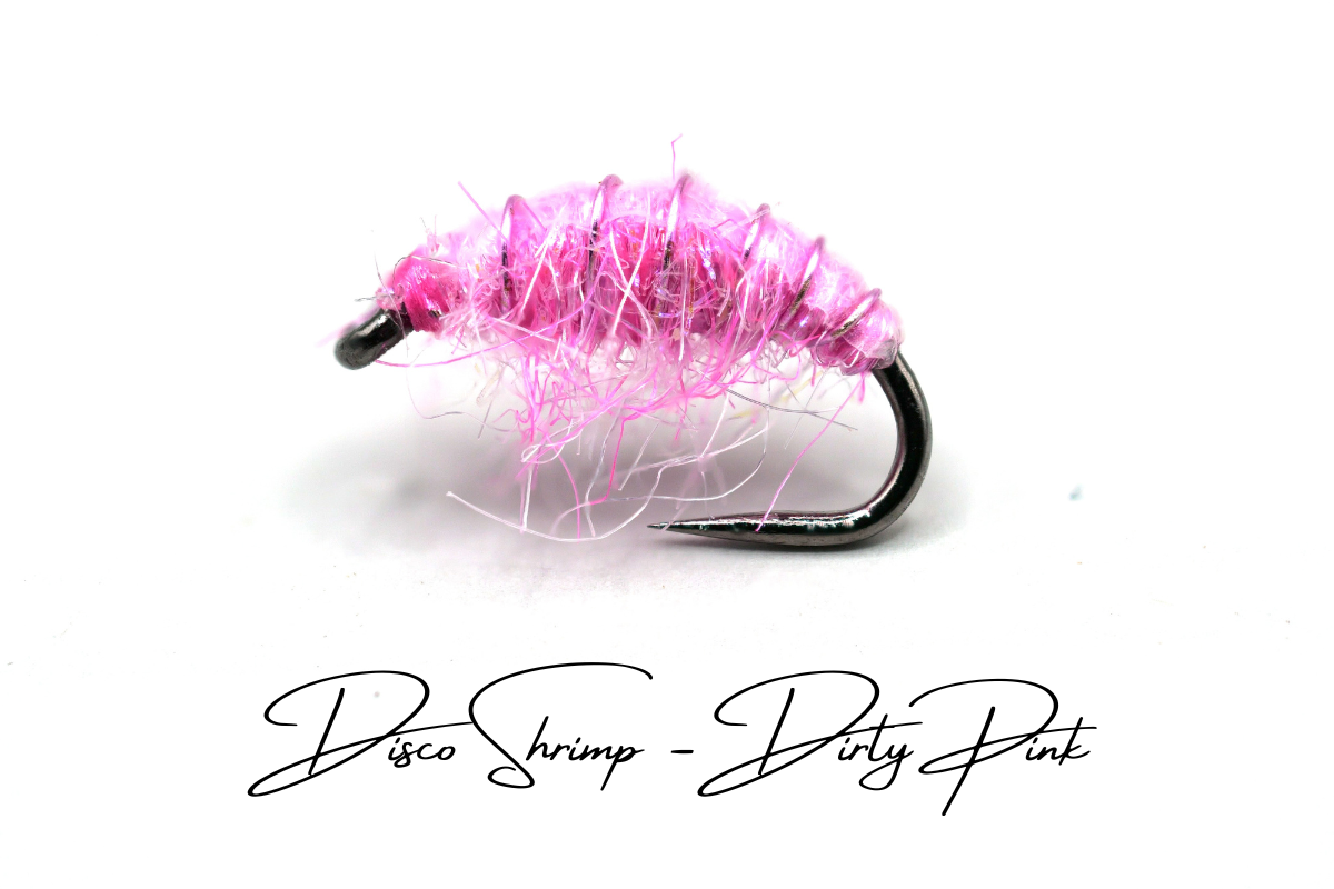 The Dirty Pink Disco Shrimp